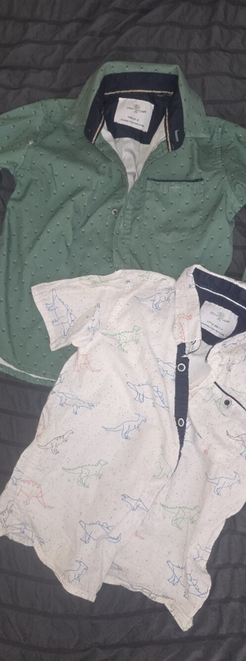 Two-Pack Boys' Button-Down Shirts - Green & White